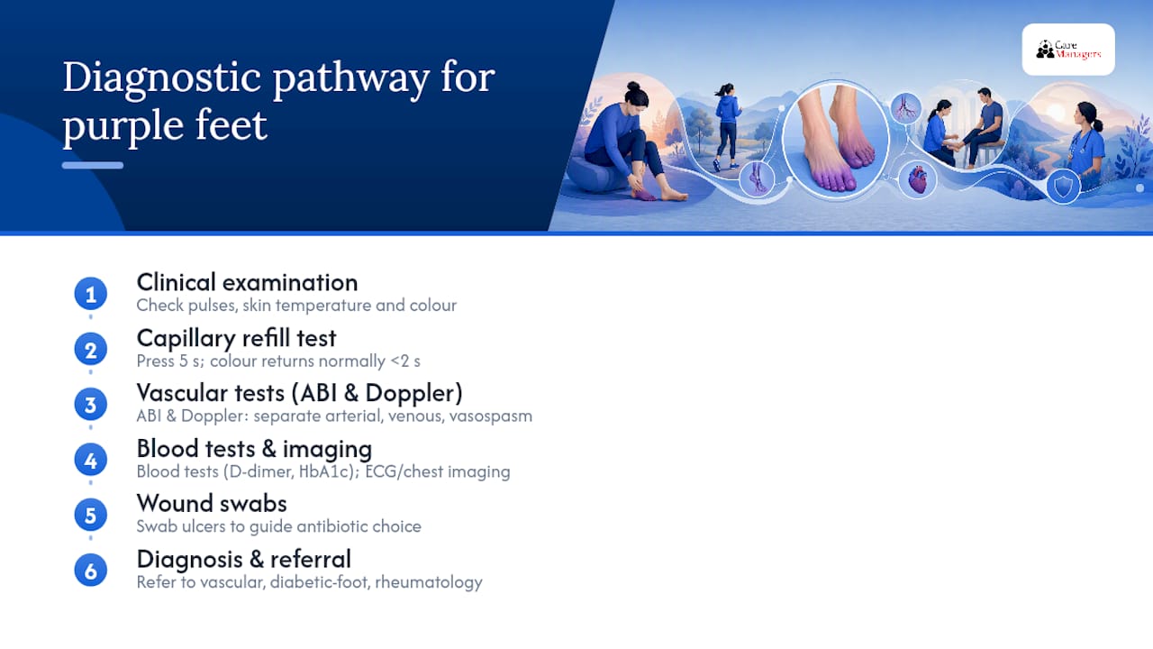 Diagram of diagnostic steps for purple feet causes